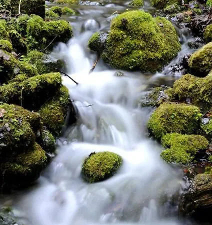 דירה Sofia Liptovský Mikuláš