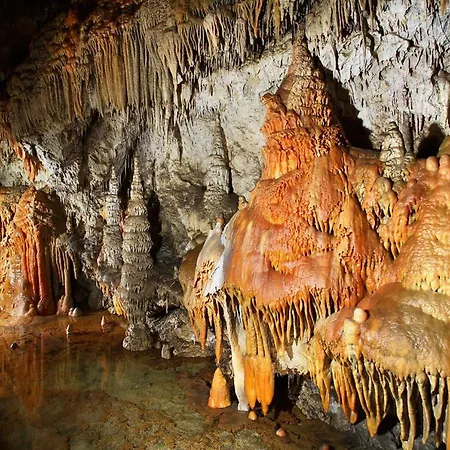 Sofia Liptovský Mikuláš